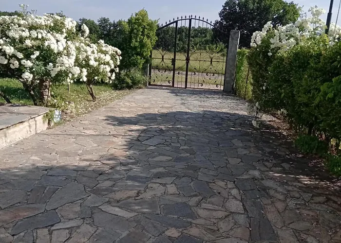 Sirius Guest house Sinemoretz